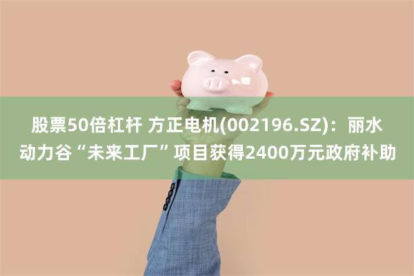 股票50倍杠杆 方正电机(002196.SZ)：丽水动力谷“未来工厂”项目获得2400万元政府补助