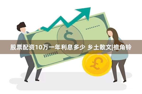 股票配资10万一年利息多少 乡土散文|檐角铃