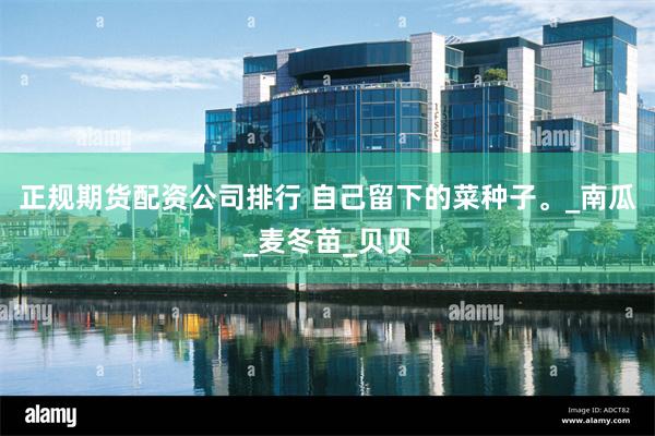 正规期货配资公司排行 自己留下的菜种子。_南瓜_麦冬苗_贝贝
