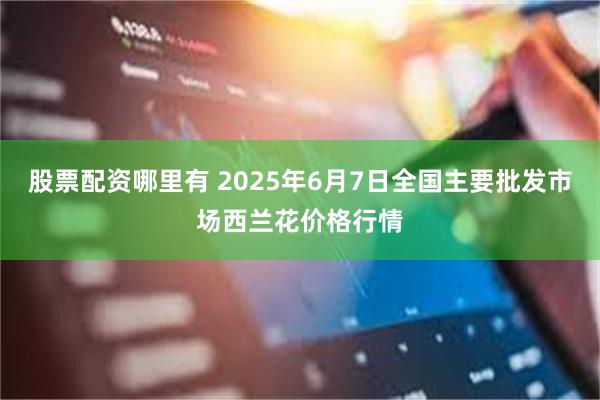 股票配资哪里有 2025年6月7日全国主要批发市场西兰花价格行情