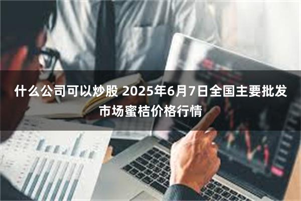 什么公司可以炒股 2025年6月7日全国主要批发市场蜜桔价格行情