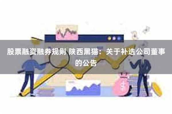股票融资融券规则 陕西黑猫：关于补选公司董事的公告