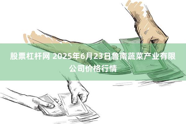 股票杠杆网 2025年6月23日鲁南蔬菜产业有限公司价格行情