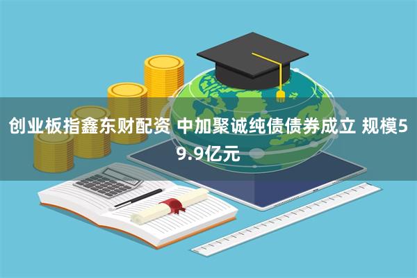 创业板指鑫东财配资 中加聚诚纯债债券成立 规模59.9亿元
